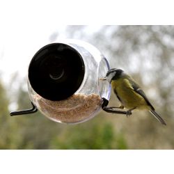 Sphere window bird feeder