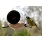 Sphere window bird feeder