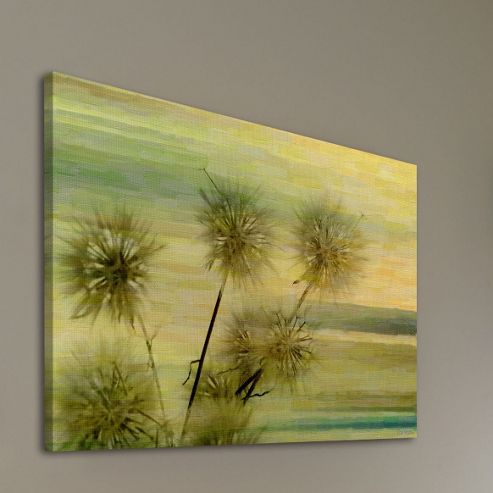 Image of Parvez Taj Thistle Canvas Wall Art - 30 Cm H X 45 Cm W X 5 Cm D