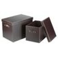 Faux Leather Trunks Set Of 2