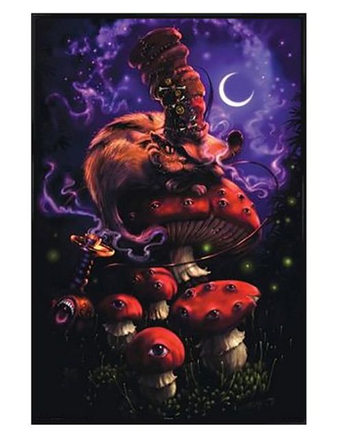 Image of Richard Biffle Gloss Black Framed Cheshire Moon Poster