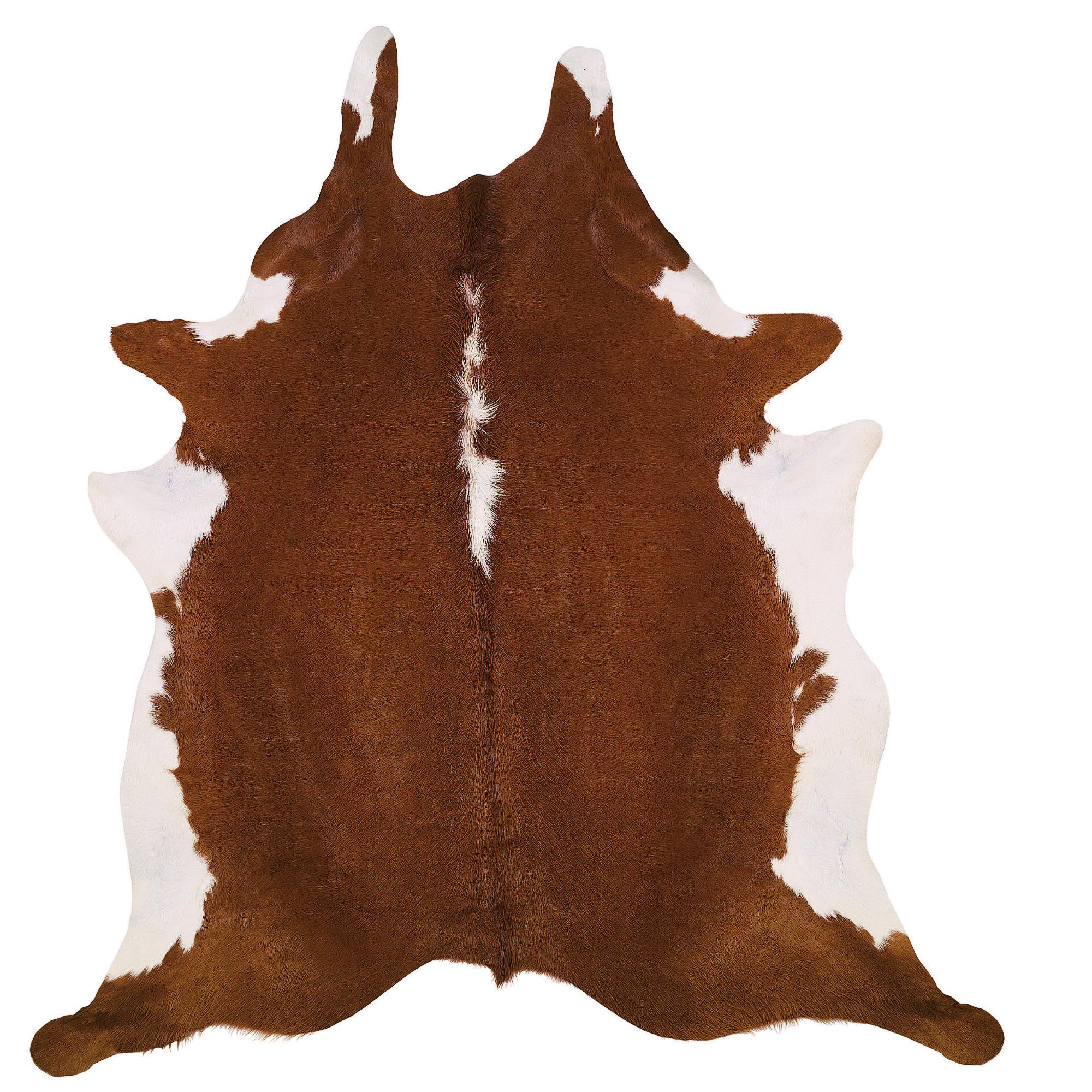 Rodeo Cowhide Rug