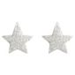 Sterling Silver Cubic Zirconia Star Earrings