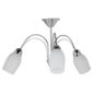 Tesco Lighting Tulip Ceiling Fitting