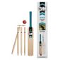 GM Apex Cricket Set Size 6