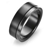 Stainless Steel Matt/Polish Black Ring, T