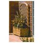 Rowlinson Rectangular Planter with Lattice
