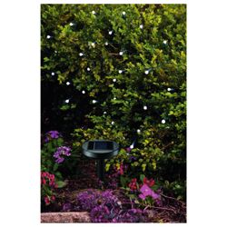 50 Berry White LED Solar Line Light