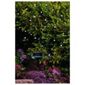 50 Berry White LED Solar Line Light