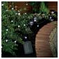 50 Berry White LED Solar Line Light