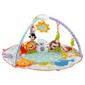 Fisher-Price Precious Planet All Around Musical Baby Activity Play Gym