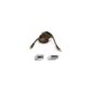 Belkin 3.0m USB Type A to Type B Data Cable