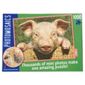 Paul Lamond Photomosaic Pig Puzzle 1000 piece