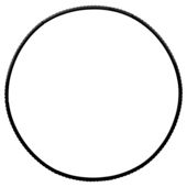 One Body Weighted Hula Hoop