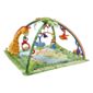 Fisher-Price Rainforest Melodies & Lights Deluxe Gym