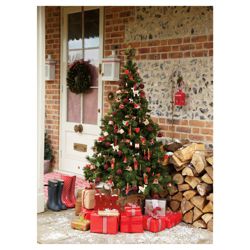 Tesco 6ft Windsor Fir Christmas Tree