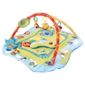 Bright Starts Play Place Deluxe Edition Activity Play Gym