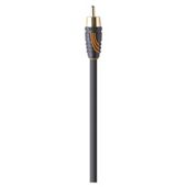 QED 6.0m Subwoofer Cable