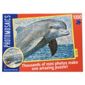 Paul Lamond Photomosaic Dolphin Puzzle 1000 piece