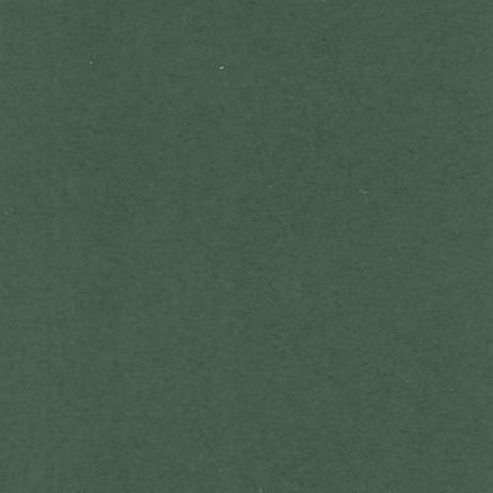 Image of Canford Paper A1 Forest