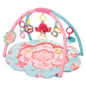 Bright Starts Petal & Friends Baby Activity Play Gym