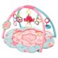 Bright Starts Petal & Friends Baby Activity Play Gym