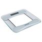 Salter Stowaweigh Glass Electronic Scale