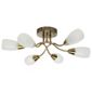 Tesco Lighting 6 Way Glass Ceiling Fitting Antique Brass