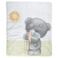 Tiny Tatty Teddy Quilt