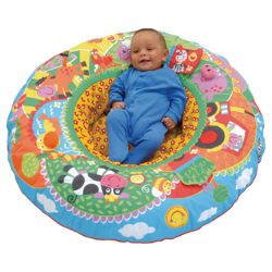 Galt Playnest & Play Gym Farm