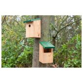 Bird box twin set