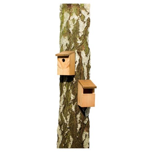 Bird box twin