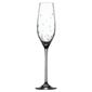 Royal Doulton Set of 2 Celebration Flute Glasses