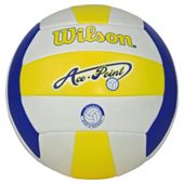 Wilson Ace Point Volleyball