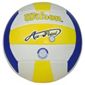 Wilson Ace Point Volleyball