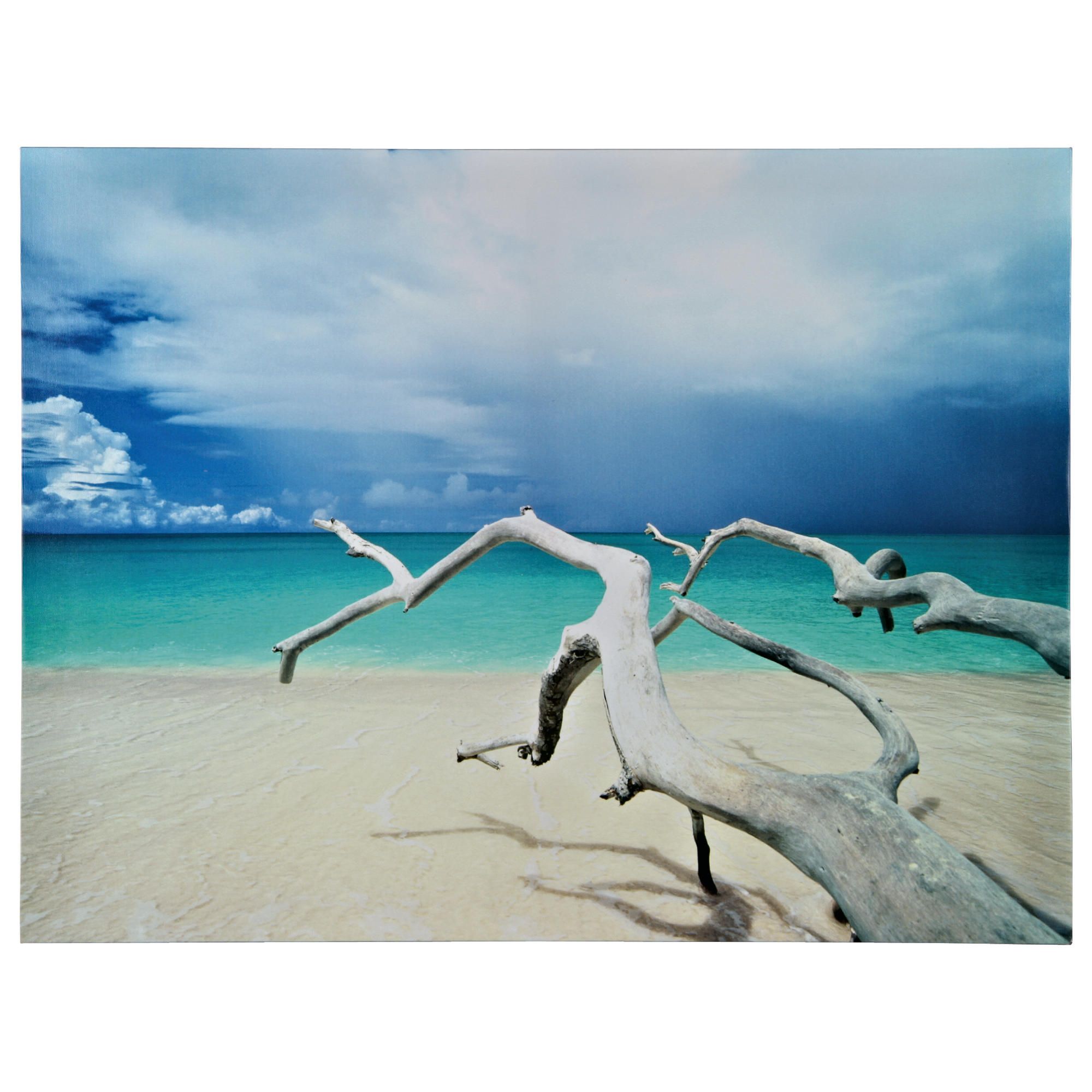 Driftwood Beach Antigua Canvas 60x80cm