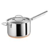 Professional 20cm Saucepan with Helper Handle