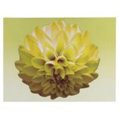 Yellow Flower Canvas