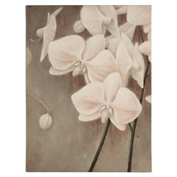 Orchid Canvas 60X80