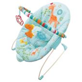 Bright Starts Savanna Dreams Bouncer