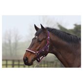 Cottage Craft Dotty Padded Headcollar Navy Cob