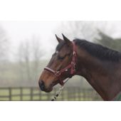 Cottage Craft Dotty Padded Headcollar Burgundy Ful