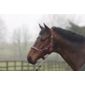 Cottage Craft Dotty Padded Headcollar Burgundy Ful