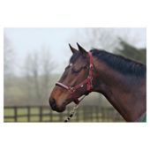Cottage Craft Dotty Padded Headcollar Burgundy Full
