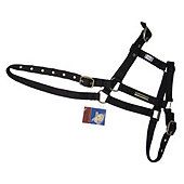 Cottage Craft fully adjustable Headcollar Black Co