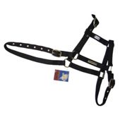 Cottage Craft fully adjustable Headcollar Black Cob