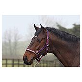 Cottage Craft Dotty Padded Headcollar Navy Pony