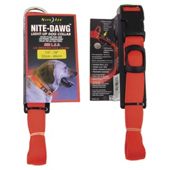 Nite Dawg Collar Medium Orange
