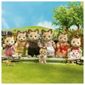 Sylvanian Families Celebration Cat Family