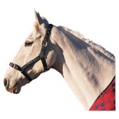 Cottage Craft fully adjustable Headcollar Navy Pony